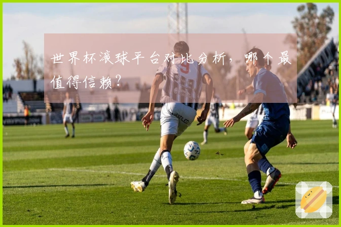 世界杯滚球平台对比分析，哪个最值得信赖？