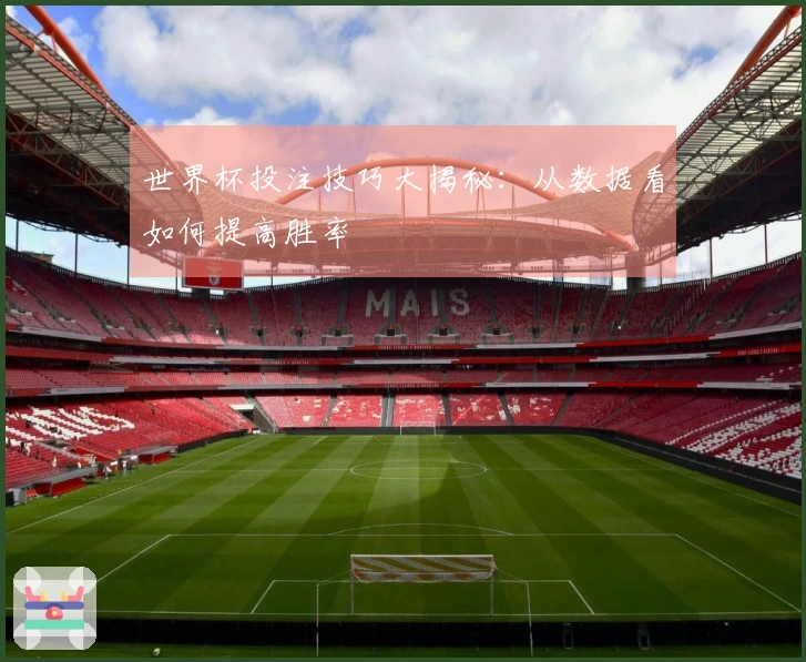 世界杯投注技巧大揭秘：从数据看如何提高胜率