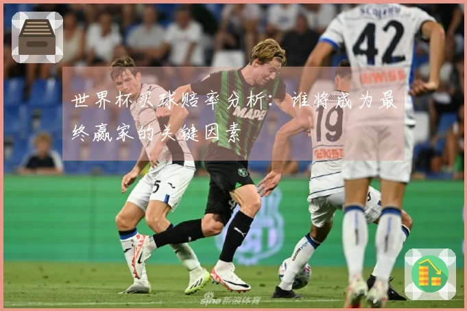 世界杯买球赔率分析：谁将成为最终赢家的关键因素