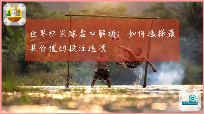 世界杯买球盘口解析：如何选择最具价值的投注选项
