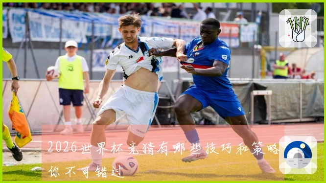 2026世界杯竞猜有哪些技巧和策略你不可错过