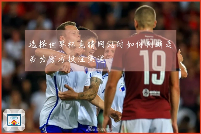 选择世界杯竞猜网站时如何判断是否为官方投注渠道
