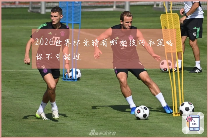 2026世界杯竞猜有哪些技巧和策略你不可错过