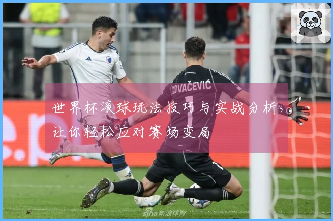世界杯滚球玩法技巧与实战分析，让你轻松应对赛场变局