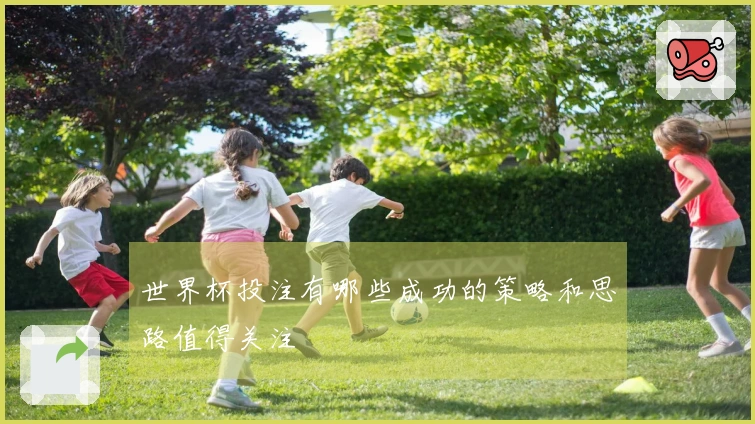 世界杯投注有哪些成功的策略和思路值得关注