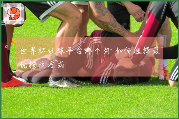 世界杯让球平台哪个好 如何选择最优投注方式