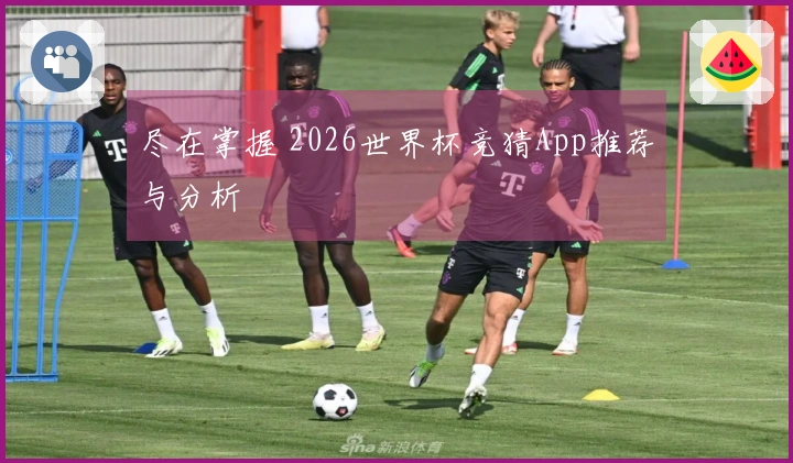 尽在掌握 2026世界杯竞猜App推荐与分析