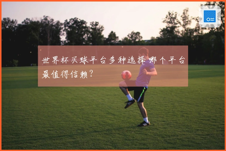 世界杯买球平台多种选择 哪个平台最值得信赖？
