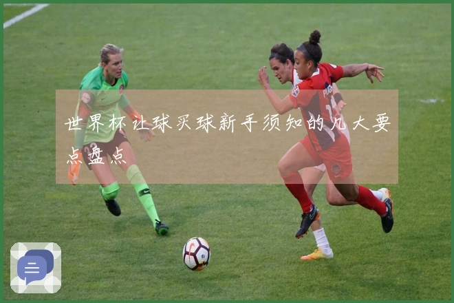 世界杯让球买球新手须知的几大要点盘点