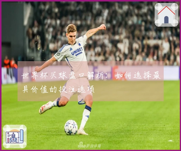 世界杯买球盘口解析:如何选择最具价值的投注选项
