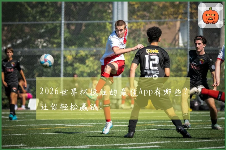 2026世界杯投注的最佳App有哪些？让你轻松赢钱！