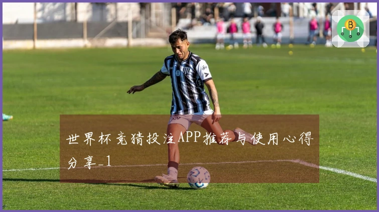 世界杯竞猜投注APP推荐与使用心得分享_1