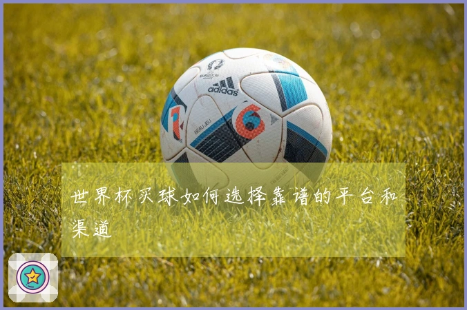世界杯买球如何选择靠谱的平台和渠道