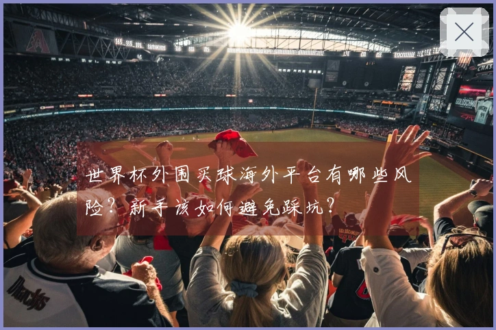 世界杯外围买球海外平台有哪些风险？新手该如何避免踩坑？