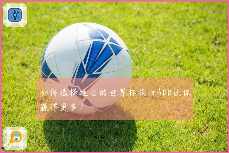 如何选择适合的世界杯投注App让你赢得更多？