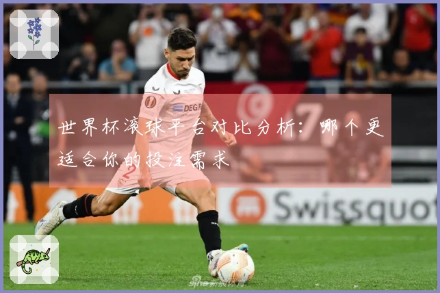 世界杯滚球平台对比分析：哪个更适合你的投注需求