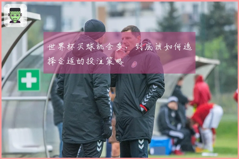世界杯买球机会多，到底该如何选择合适的投注策略