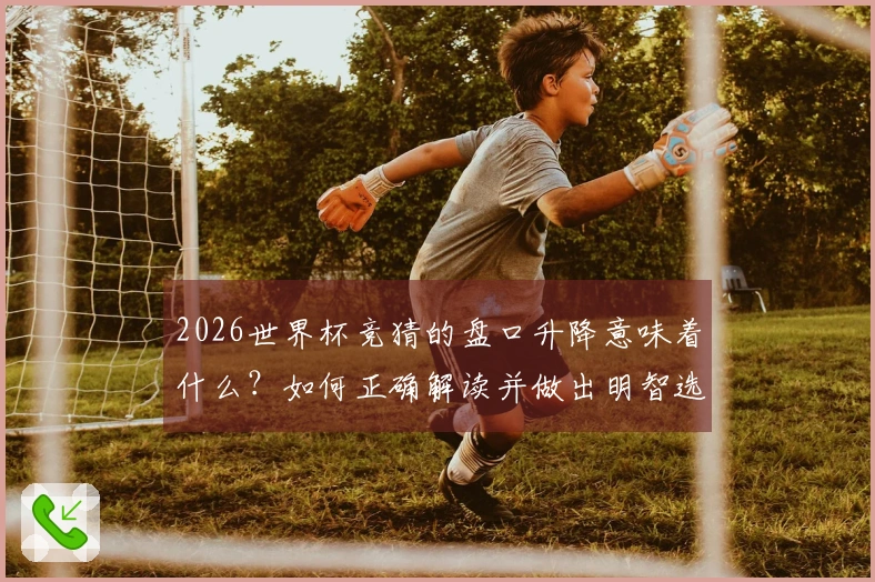 2026世界杯竞猜的盘口升降意味着什么？如何正确解读并做出明智选择？