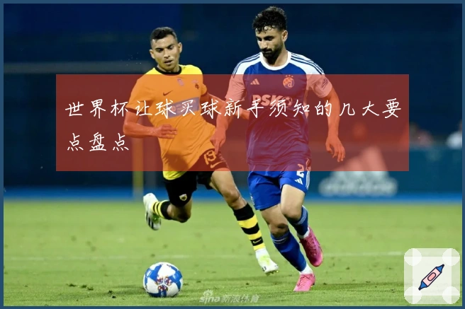 世界杯让球买球新手须知的几大要点盘点