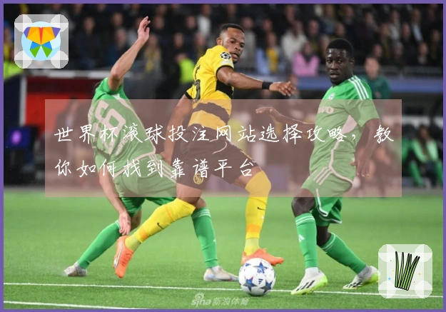 世界杯滚球投注网站选择攻略，教你如何找到靠谱平台