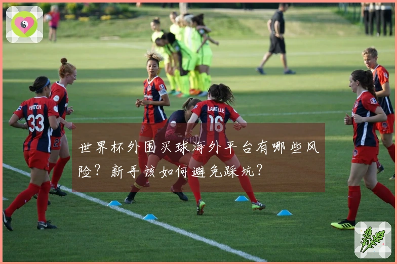 世界杯外围买球海外平台有哪些风险？新手该如何避免踩坑？