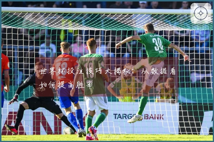 世界杯投注技巧大揭秘：从数据看如何提高胜率