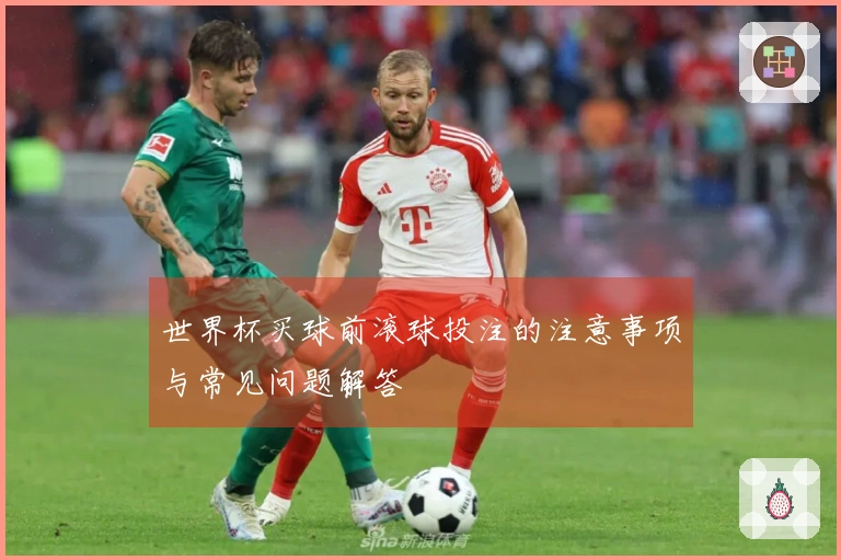 世界杯买球前滚球投注的注意事项与常见问题解答